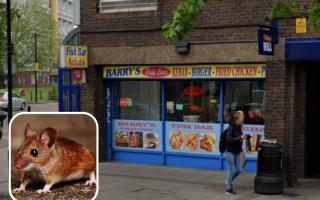A complaint which led to an inspection revealed a mouse problem at Barry's Fish Bar in Bromley-by-Bow