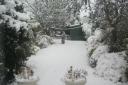 Reader Kerry Cannadine's back garden in Dagenham this morning