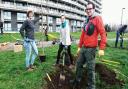 Volunteers planting trees at Bethnal Green's Meath Gardens in 2017.