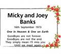 Micky and Joey Banks
