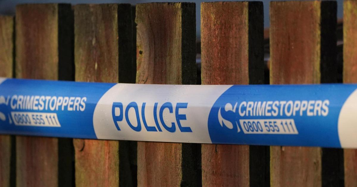 Woman arrested on suspicion of murder after girl, 2, found in village pond - Vimarsana News