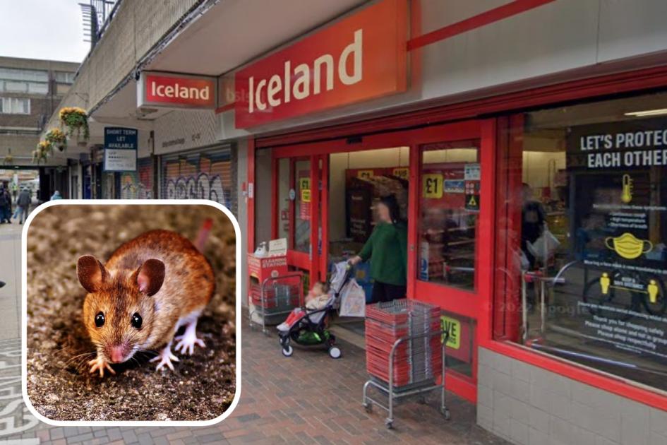 Poplar Iceland closed over ‘uncontrolled mouse activity’