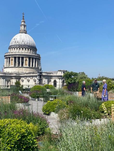 London’s hidden parks and squares open for Open Gardens weekend