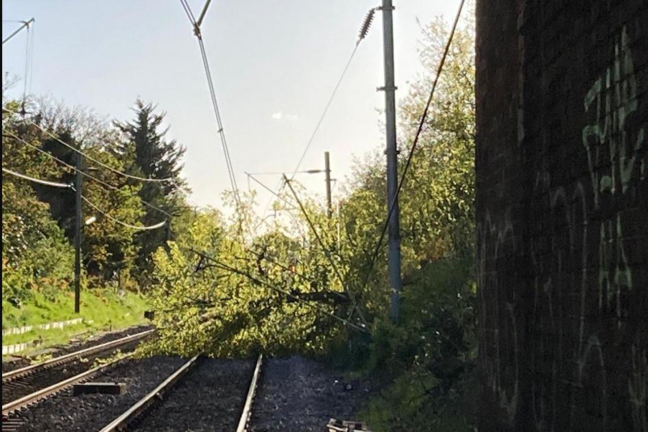 c2c train delays expected all day after fallen tree damage