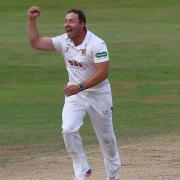 Graham Napier of Essex celebrates taking a wicket (pic: Gavin Ellis/TGS Photo)