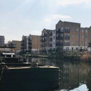 The RSPCA is appealing for information after the body of a dead dog was found floating in Regent Canal, Mile End, on March 22
