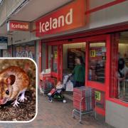 It is unclear when the Poplar Iceland branch will reopen (stock photo of mouse)