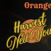 Orange River Remedy is set to deliver a tribute concert to Neil Young