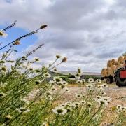 The Conservative Policy Forum's East Wiltshire branch held a meeting on the natural environment