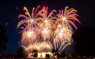 Where to enjoy fireworks displays in and around east London this year